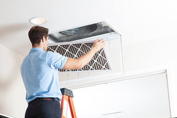 Best HVAC Cleaning Services  in Greenwood, MO
